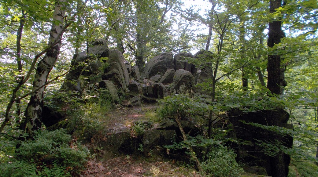 Des Teufels Kanzel in der Somsdorfer Klamm im Rabenauer Grund