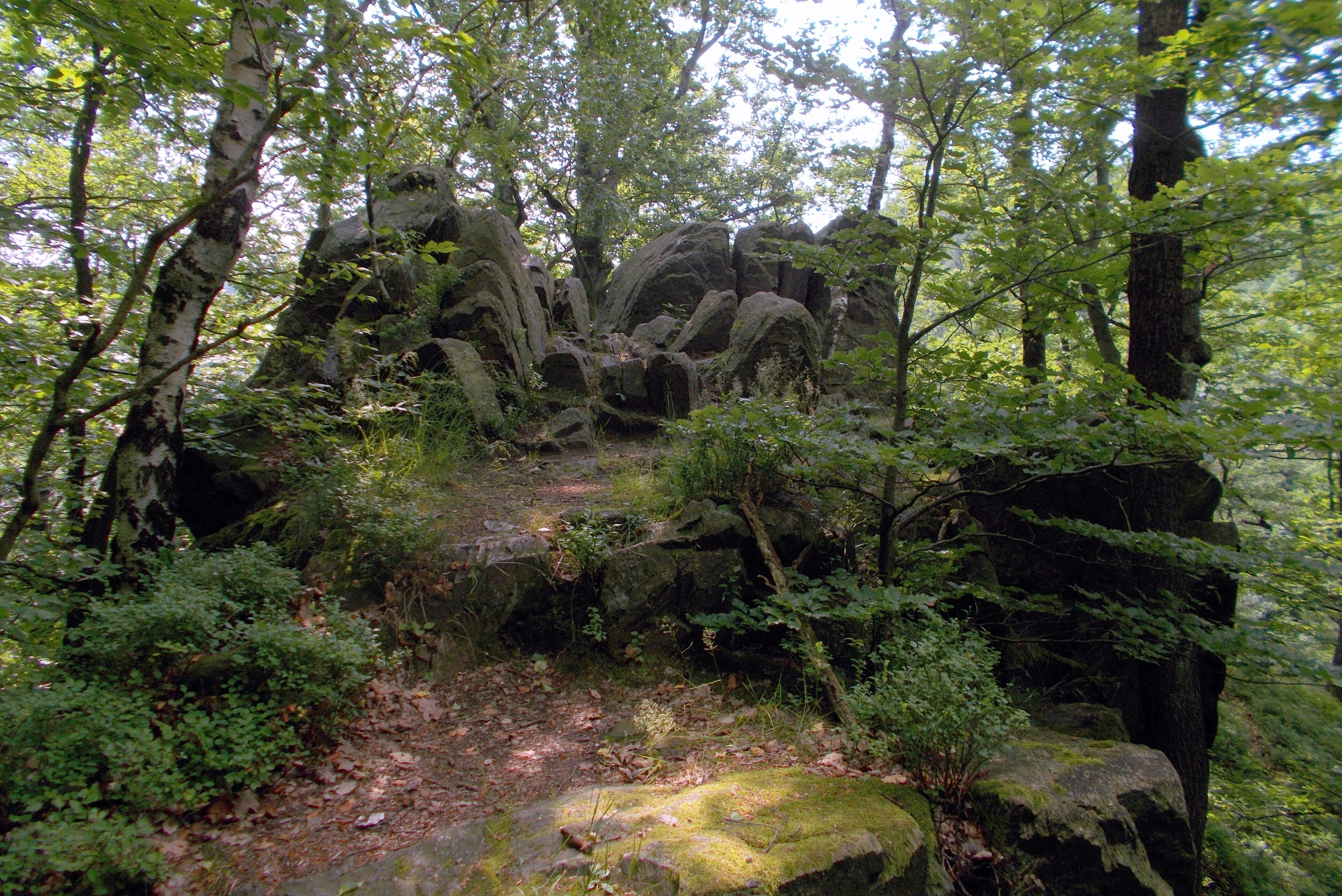 A forested area with large boulders and dense foliage.