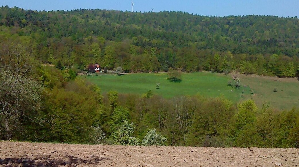 Der Hahnenkamm bei Alzenau von Kleinhemsbach aus gesehen