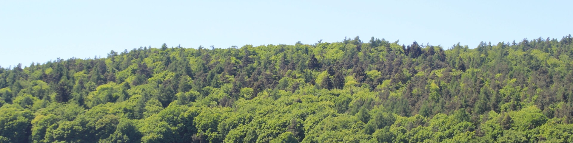 Der Kriegelberg von Kleinhemsbach aus gesehen