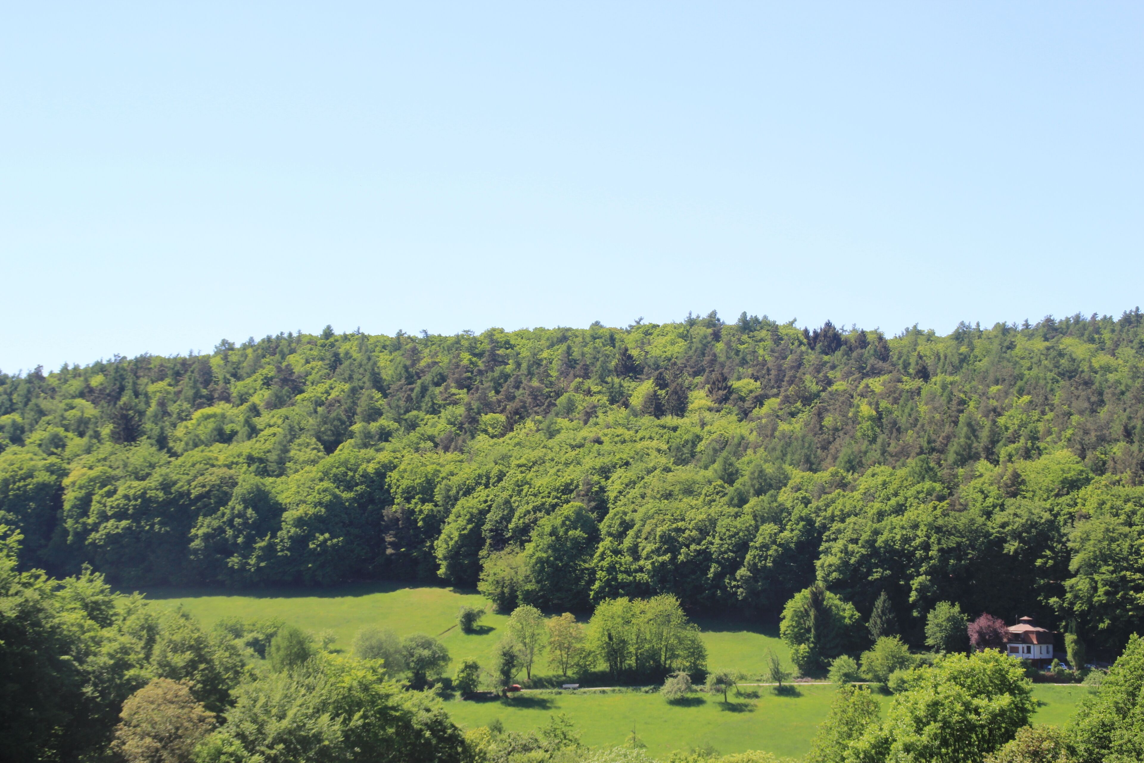 A lush green valley with a small house nestled among trees.