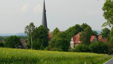 Une flèche d’église, des maisons et un champ de fleurs jaunes.