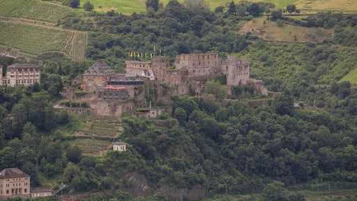Burg Rheinfels