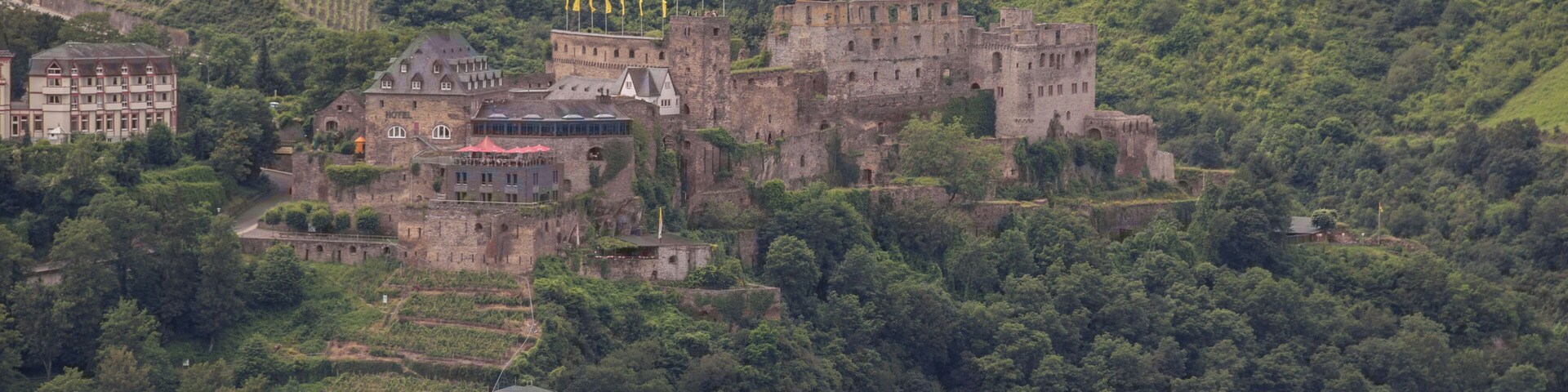 A historic castle on a hill surrounded by lush greenery and vineyards.