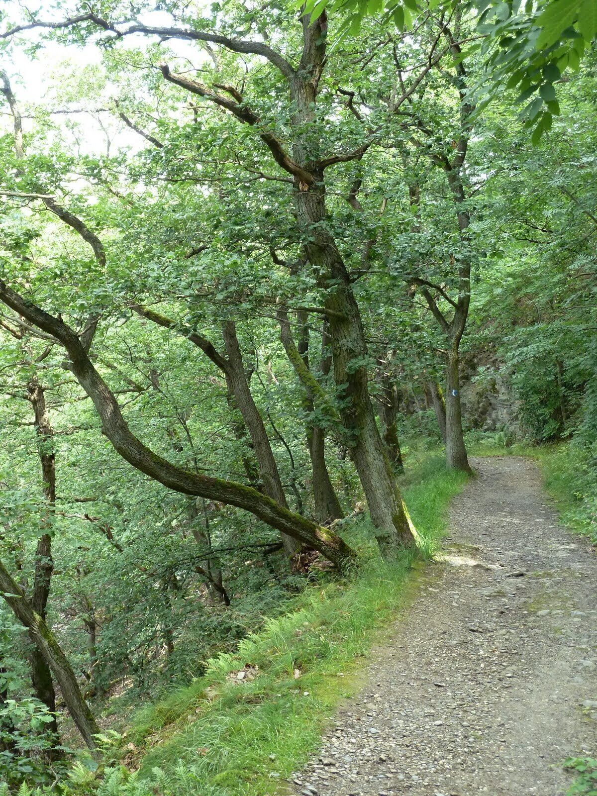 Aufstieg zur Burg Katz