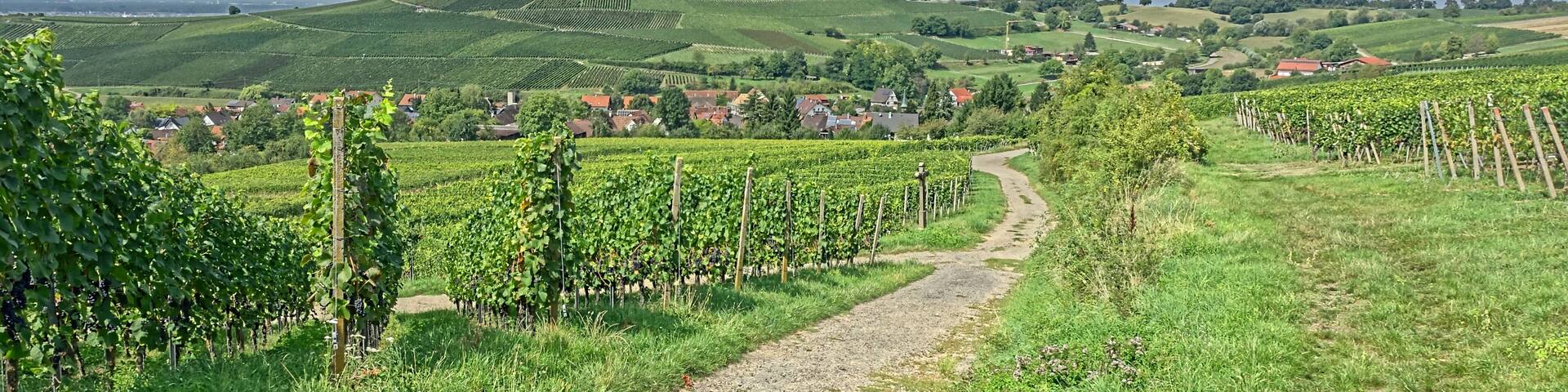 Blick nach Mauchen und auf den Himmelberg