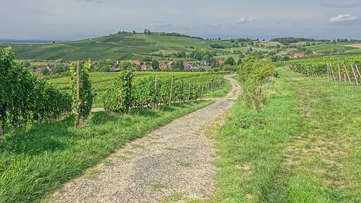 Blick nach Mauchen und auf den Himmelberg