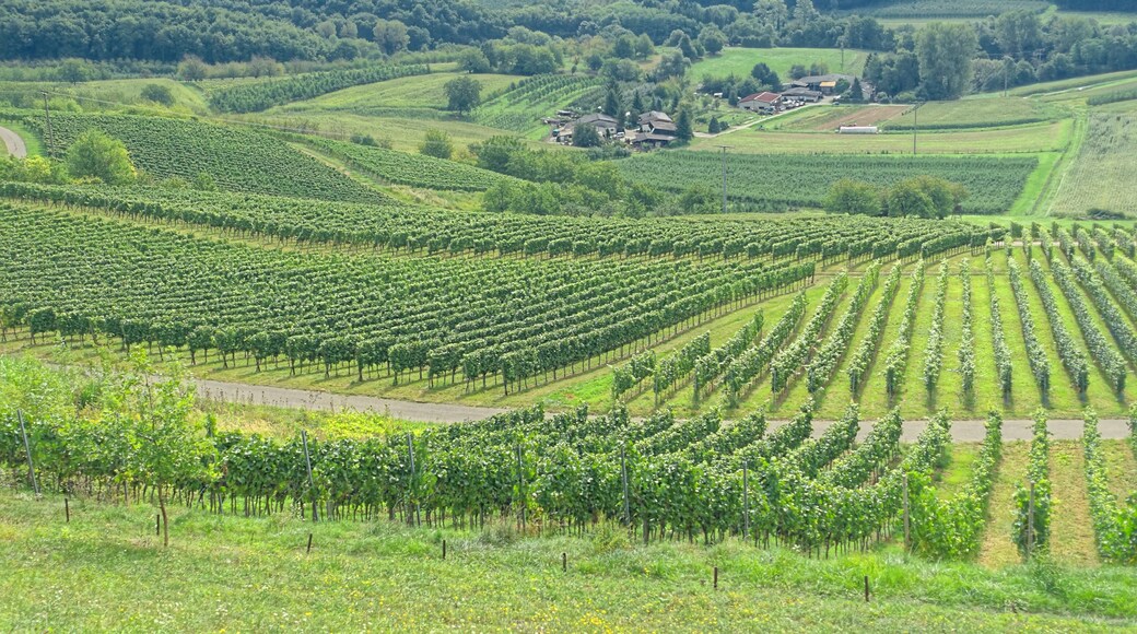 Auf der Eck mit Blick nach Osten