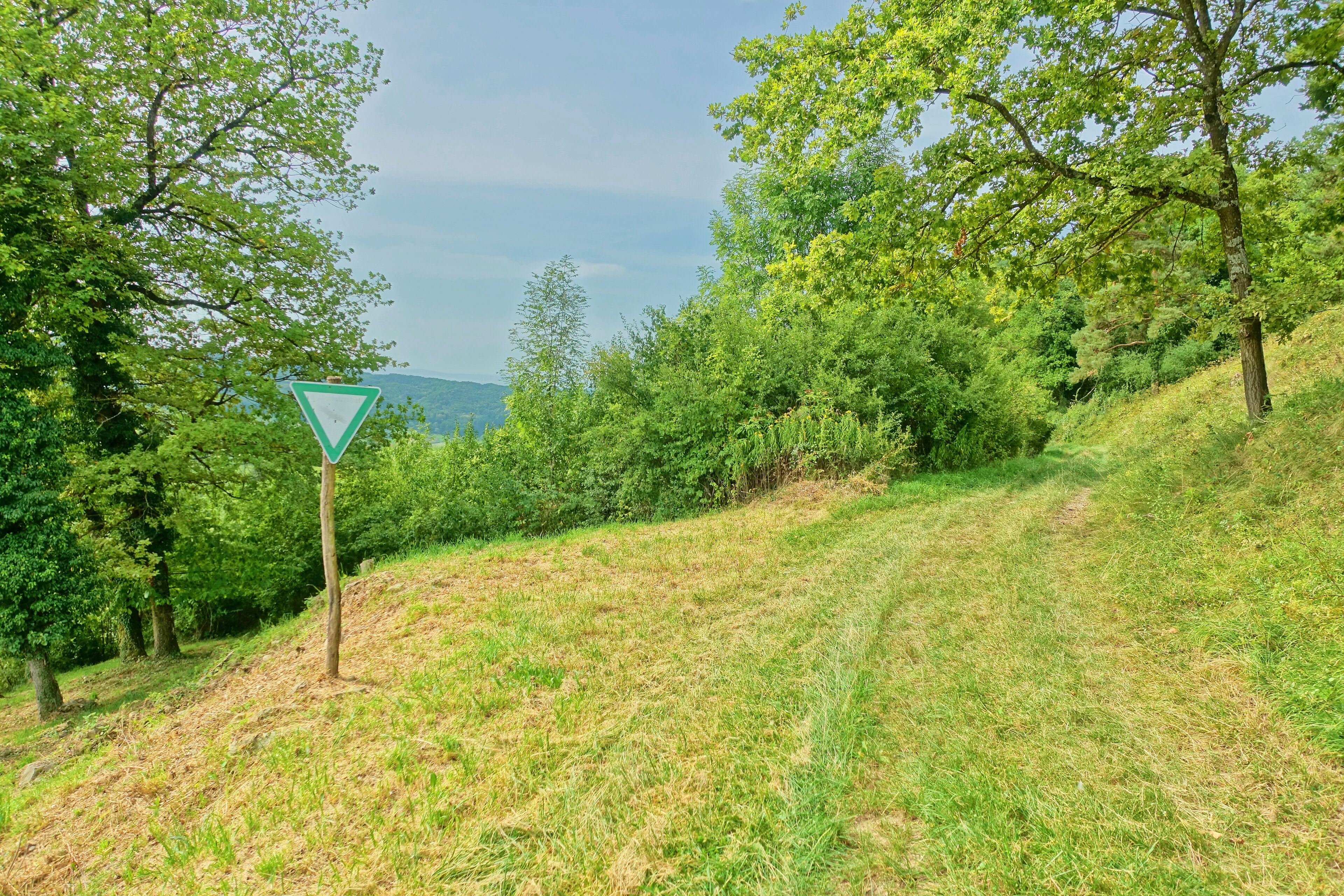Lebensraum zahlreicher stark gefährdeter Pflanzen und Tiere im Markgräfler Hügelland.