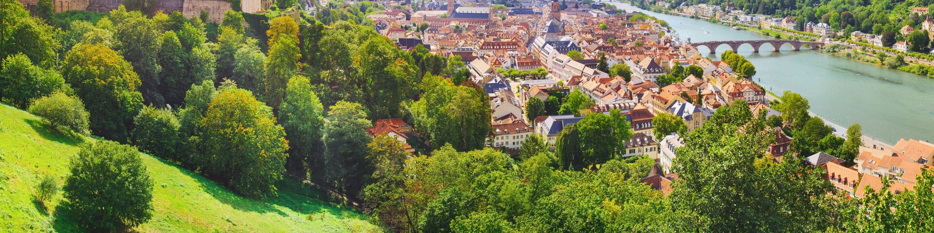 heidelberg - city in germany at the neckar from above