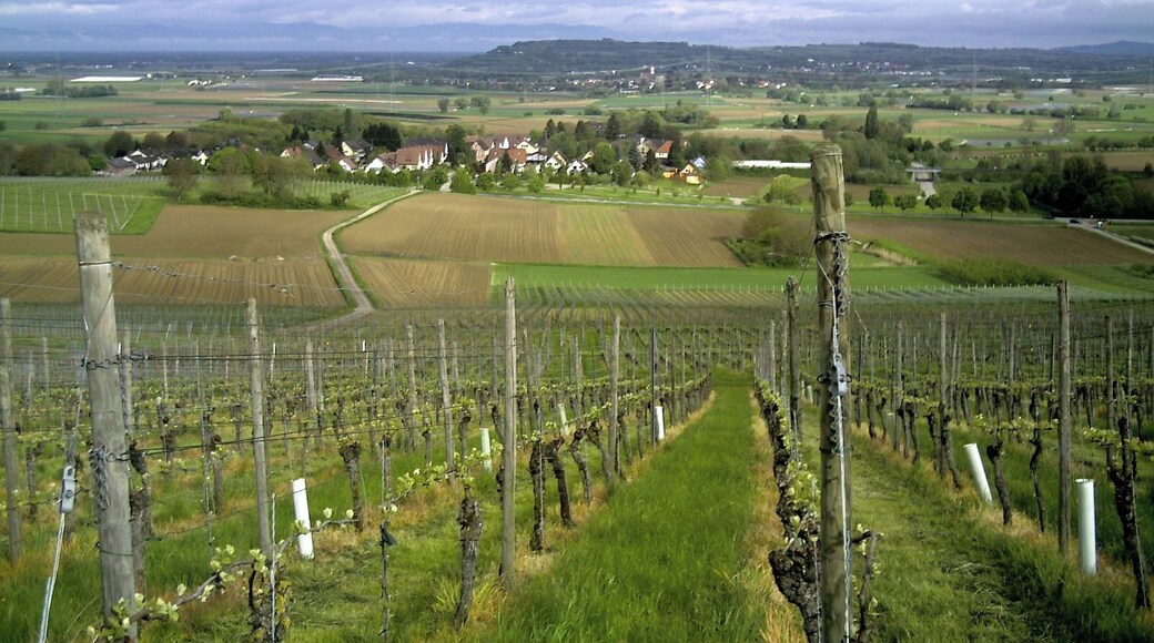 May Scherzingen Panorama