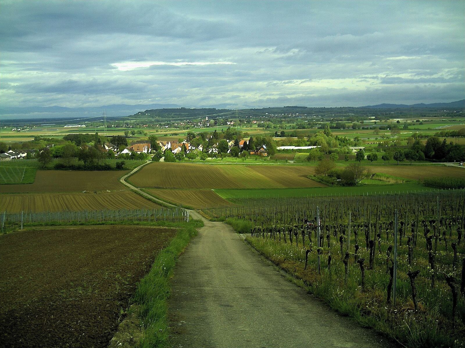 May Scherzingen Panorama