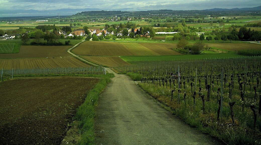 May Scherzingen Panorama