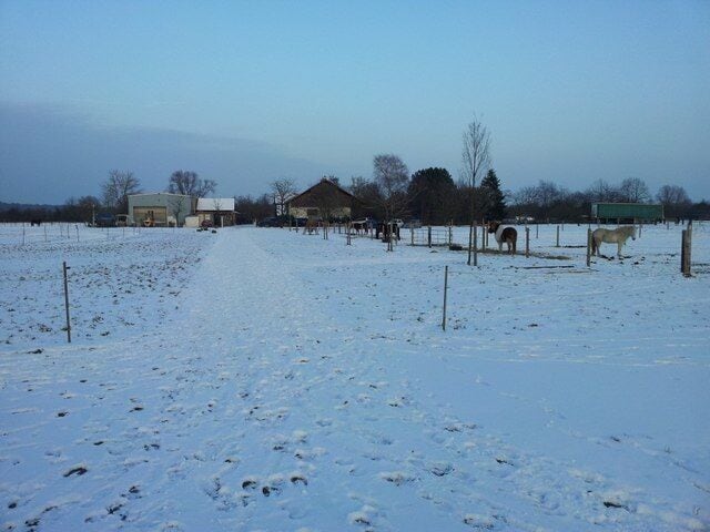 Friedrichstal, Vorsenzhof