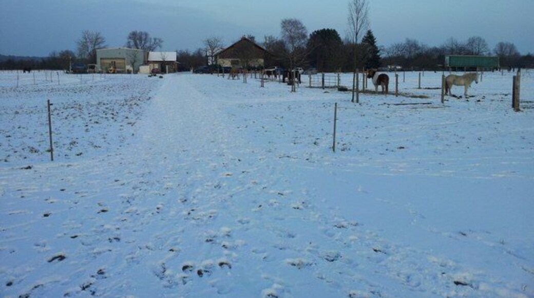 Friedrichstal, Vorsenzhof