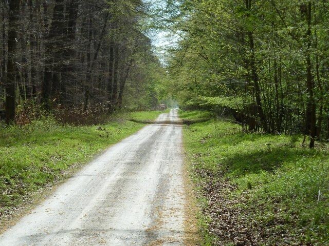 Grabener Allee am Hirschgraben