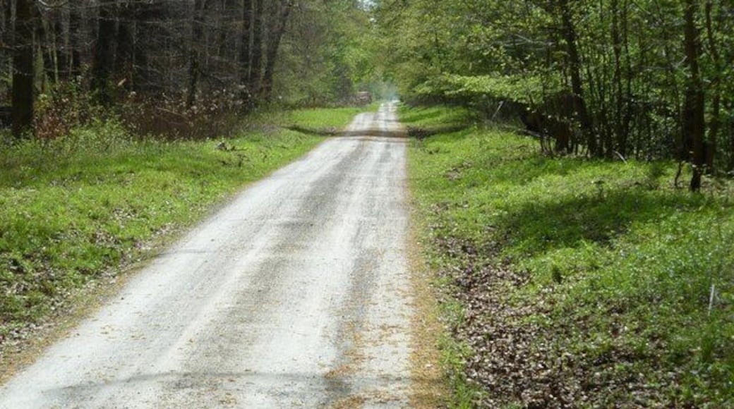 Grabener Allee am Hirschgraben