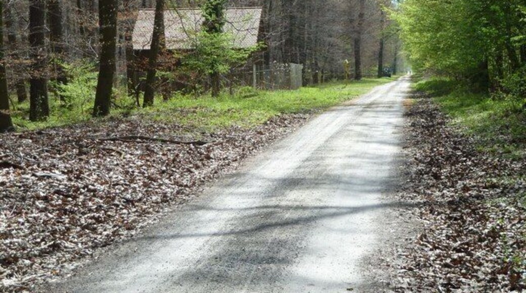 Installation der Gasversorgung an der Grabener Allee