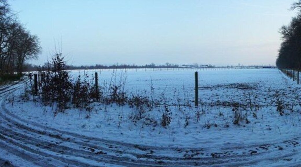 Waldrand des Hardtwaldes bei Friedrichstal