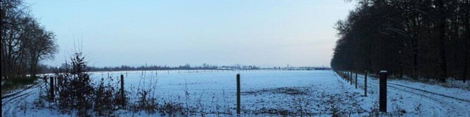 Waldrand des Hardtwaldes bei Friedrichstal