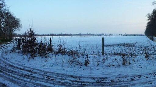 Waldrand des Hardtwaldes bei Friedrichstal