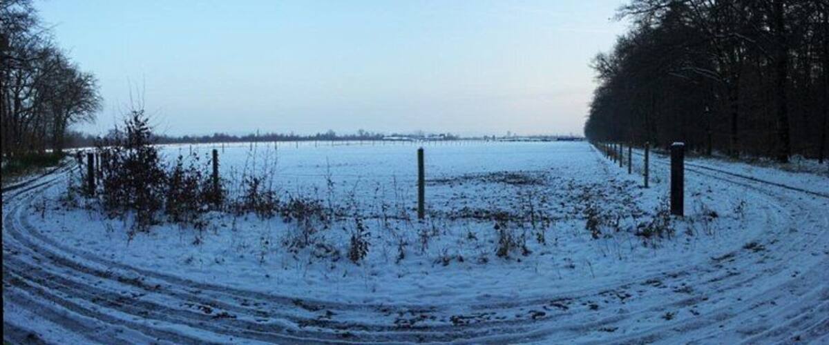 A snow-covered field with a fence and trees in the background.