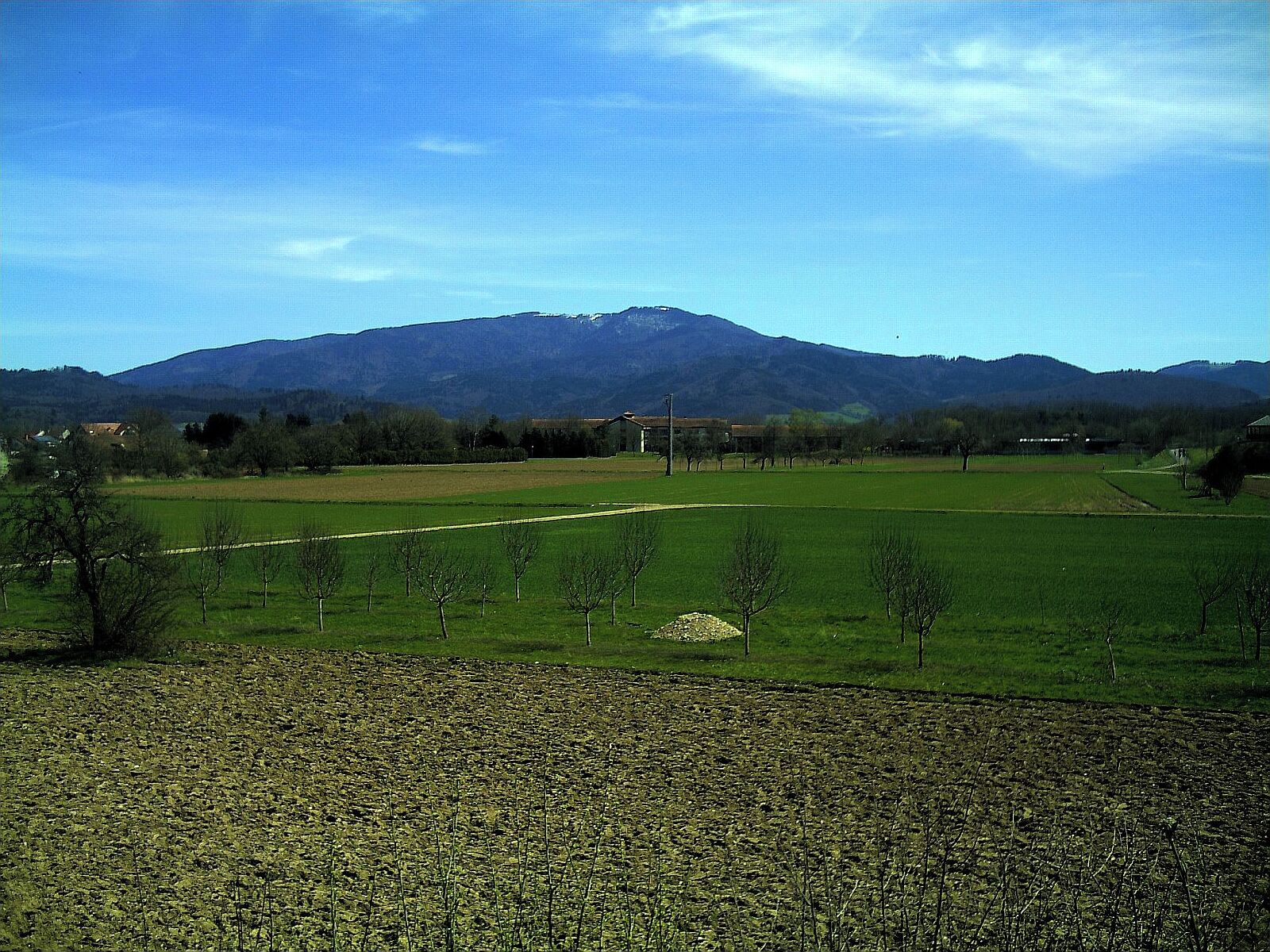 Wasser (Emmendingen) - Blick zum Kandel