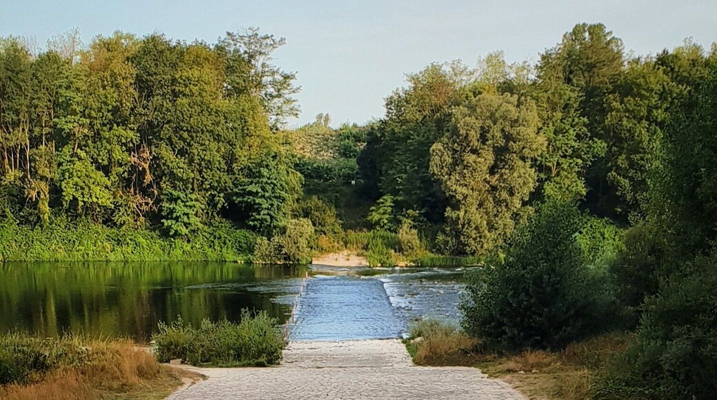 An old crossing over the river Rhine. The canal (and France!) is the other side of the far bank.