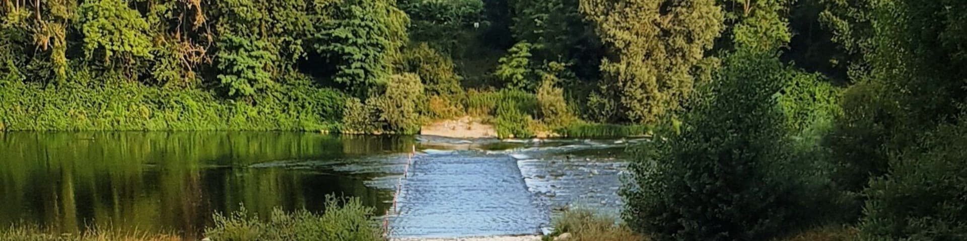 An old crossing over the river Rhine. The canal (and France!) is the other side of the far bank.