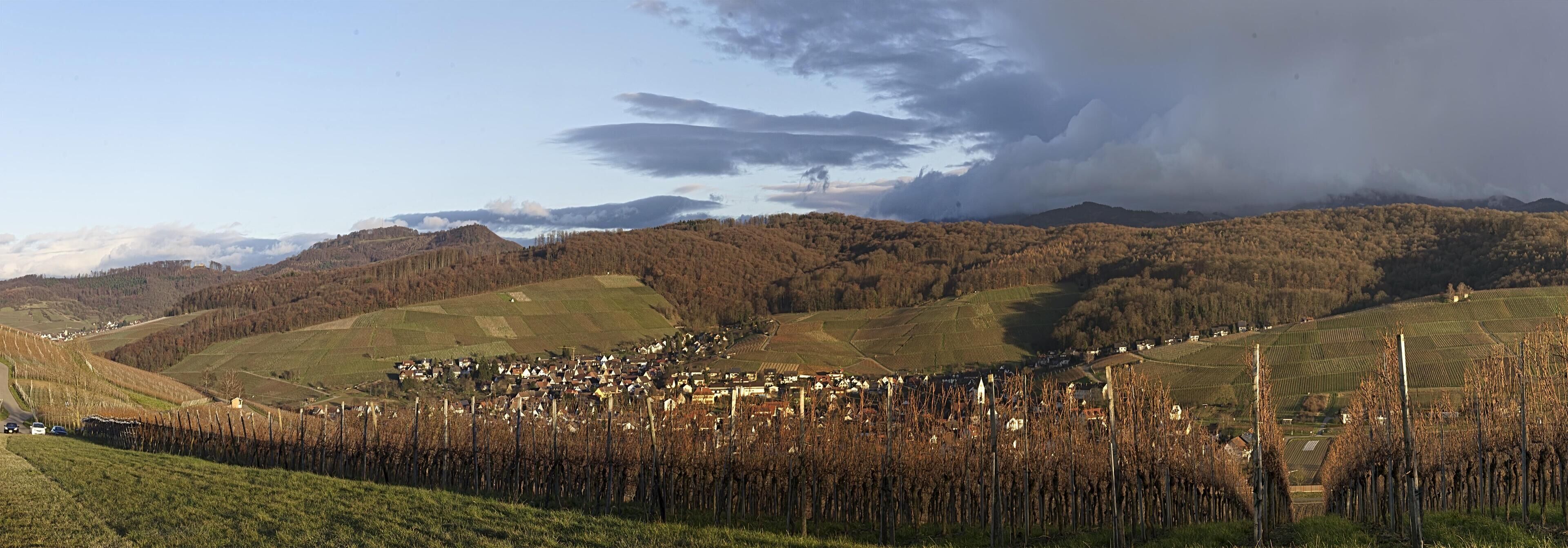 A rural landscape with vineyards, a small village, and rolling hills.