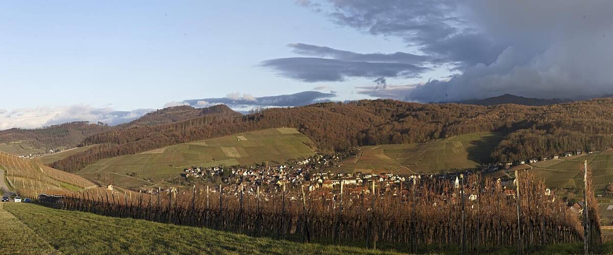 A rural landscape with vineyards, a small village, and rolling hills.
