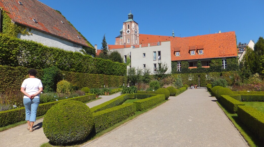"Hortus medicus" der Alten Anatomie. Dahinter das Münster