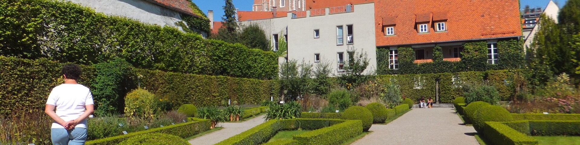 "Hortus medicus" der Alten Anatomie. Dahinter das Münster