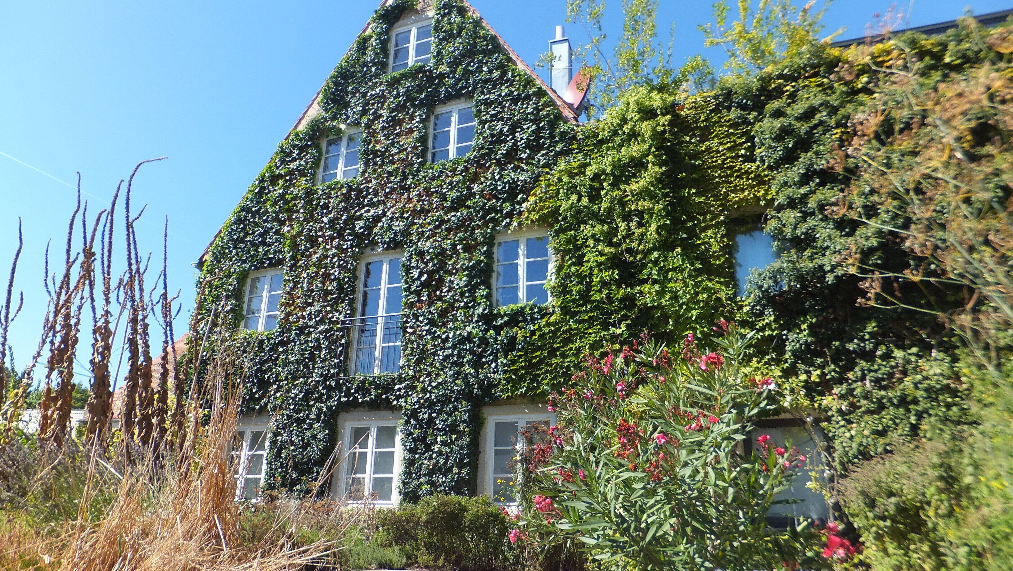 Eine kuschelige Ecke des Arzneipflanzengartens