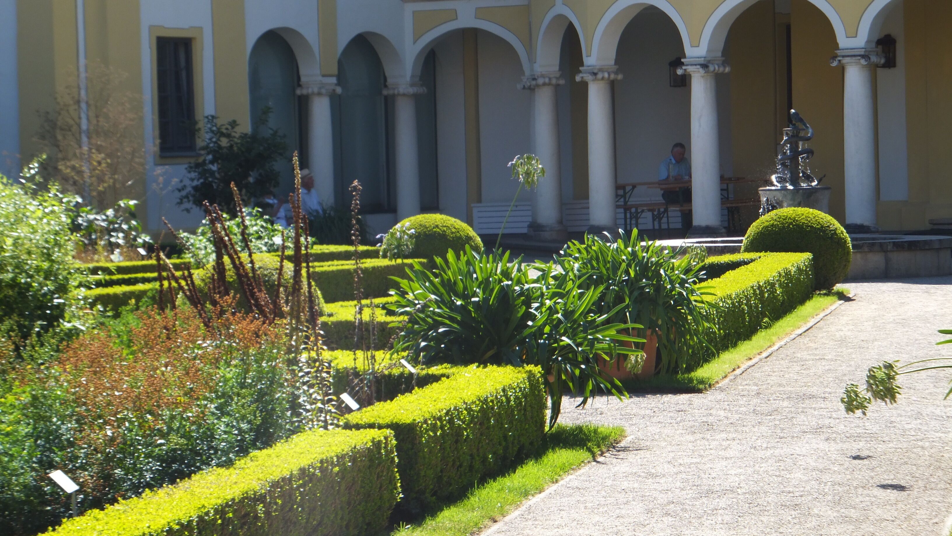 Pflanzen - Brunnen - Arkaden. Garten des Medizinhistorischen Museums