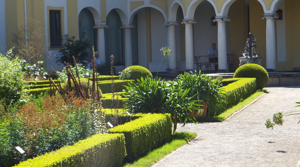 Pflanzen - Brunnen - Arkaden. Garten des Medizinhistorischen Museums