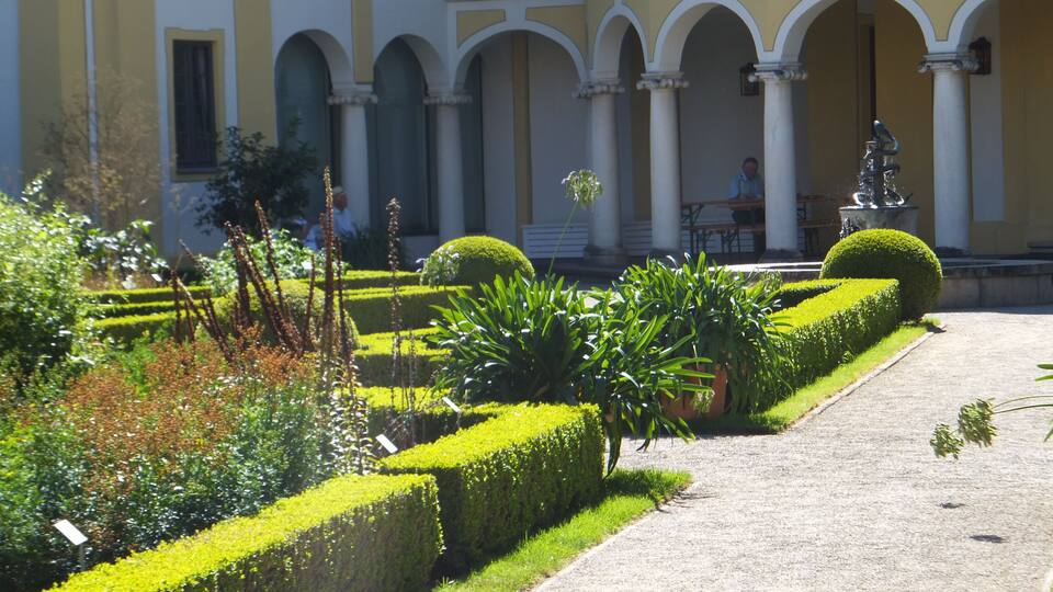 Pflanzen - Brunnen - Arkaden. Garten des Medizinhistorischen Museums