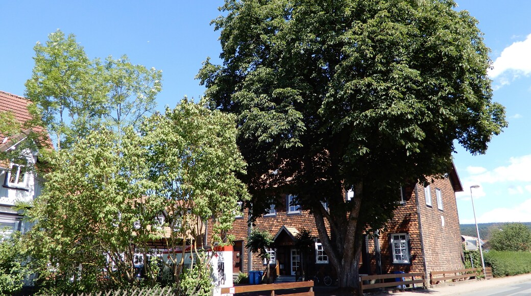 Kindergarten Windhausen