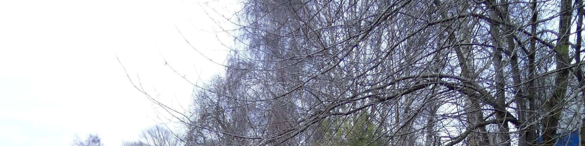 Geitelder Graben in Rüningen zwischen Bundesstraße 248 bzw. Thieder Straße und Leiferder Weg, Blickrichtung Osten.