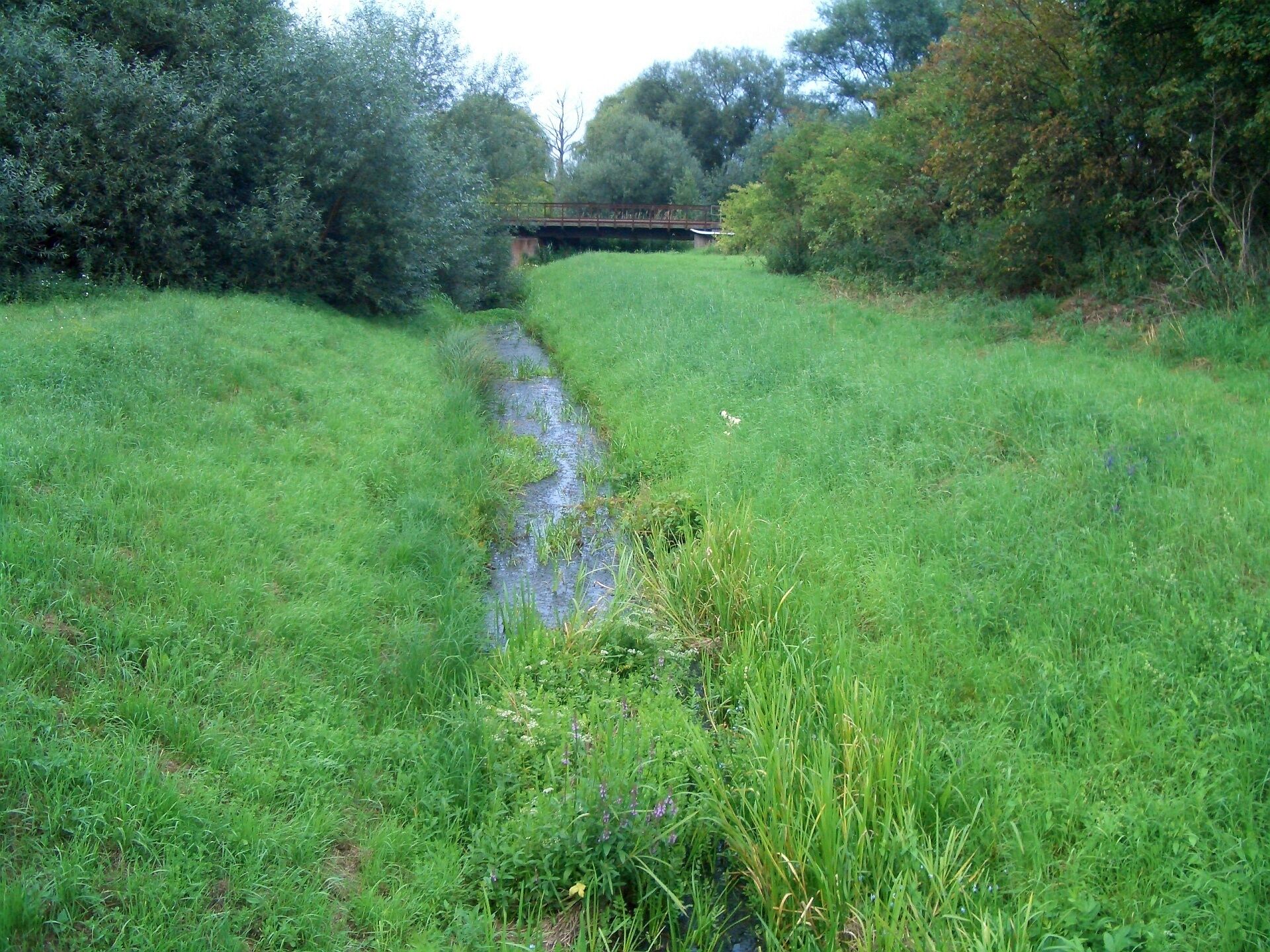 Geitelder Graben in Rüningen kurz vor der Mündung in den von der Oker abzweigenden Mühlengraben.