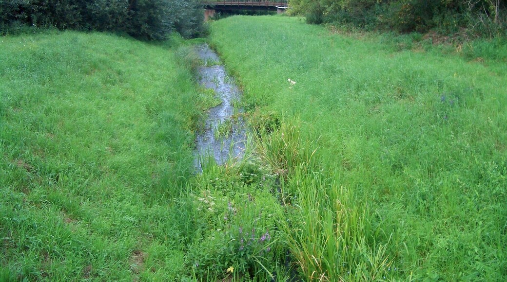 Geitelder Graben in Rüningen kurz vor der Mündung in den von der Oker abzweigenden Mühlengraben.
