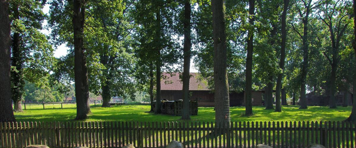 A cemetery with a wooden fence, trees, and a small building in the background.