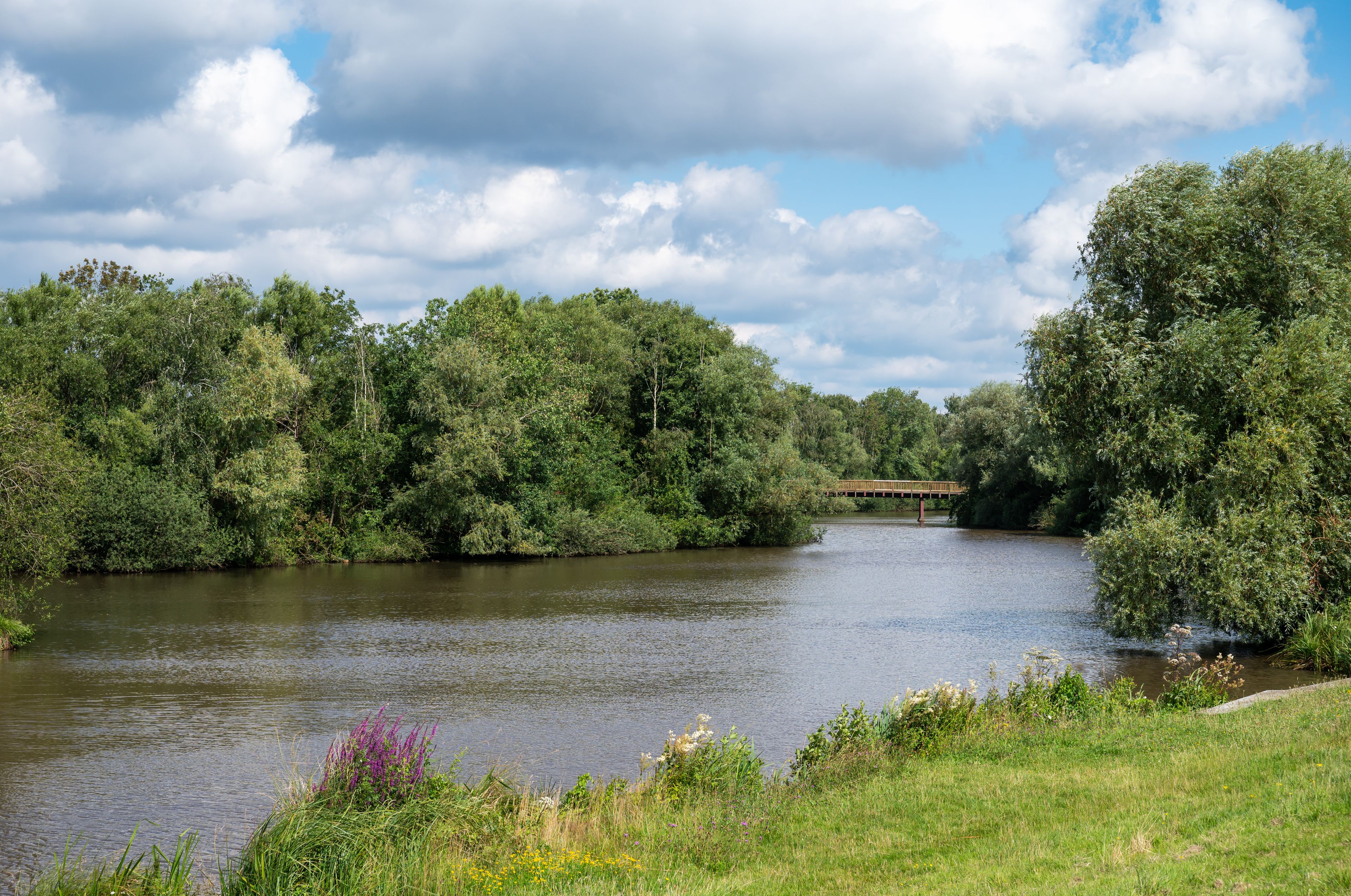Ein Fluss mit einer Holzbrücke, umgeben von dichtem Grün und einem teilweise bewölkten Himmel.