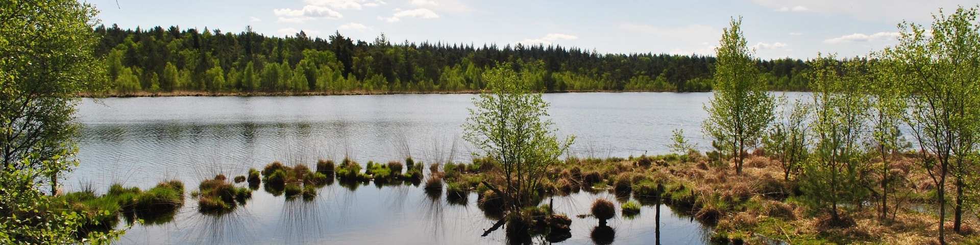 Ein toller Frühlingstag am Grundlosen See in der Nähe von Walsrode, Heidekreis