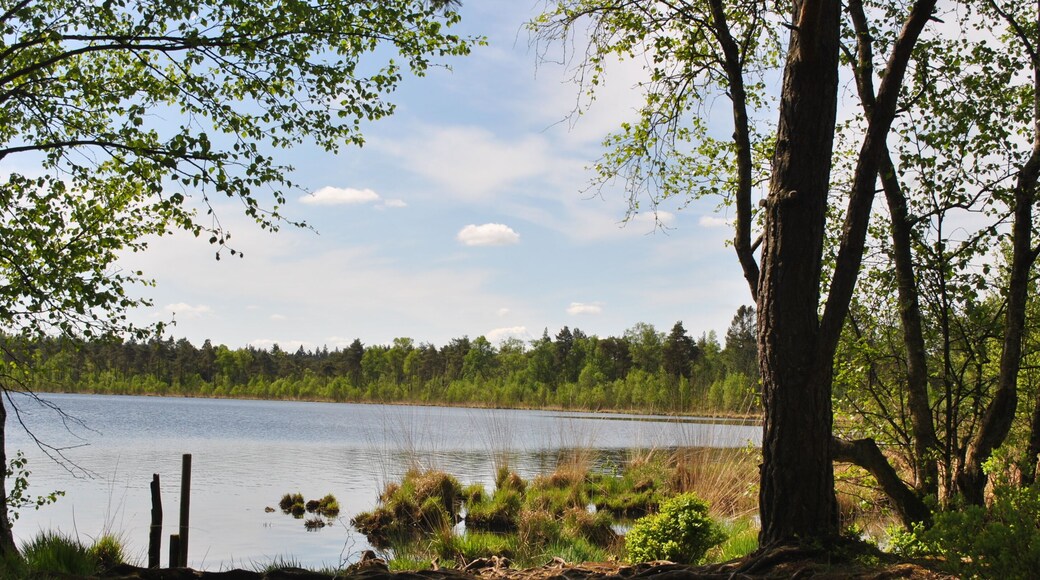Einfach die Ruhe und den schönen Ausblick genießen. Grundloser See Nähe Walsrode, Heidekreis