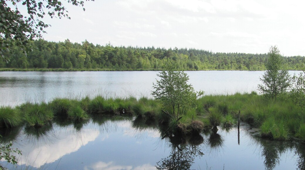 Übergang mit Brücke vom kleinen zum Grundlosen See im Naturschutzgebiet Grundloses Moor, bei Walsrode, Heidekreis