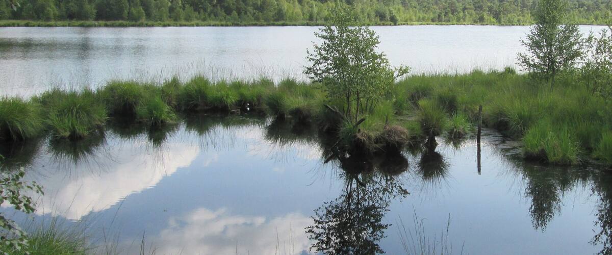 Übergang mit Brücke vom kleinen zum Grundlosen See im Naturschutzgebiet Grundloses Moor, bei Walsrode, Heidekreis