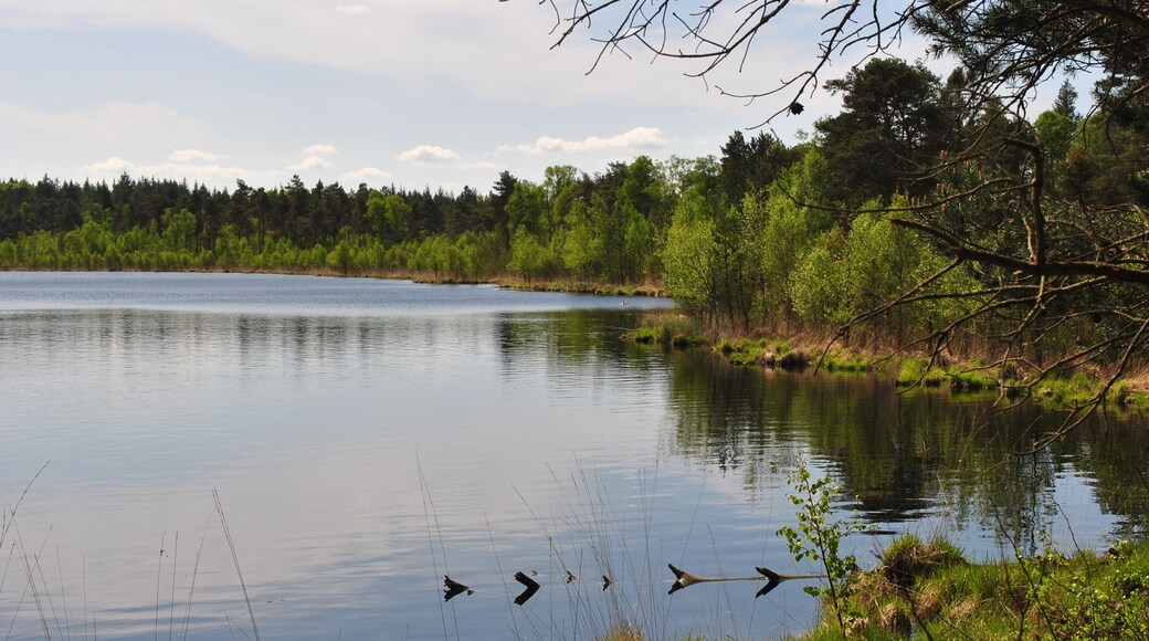 Ein toller Frühlingstag am Grundlosen See in der Nähe von Walsrode, Heidekreis