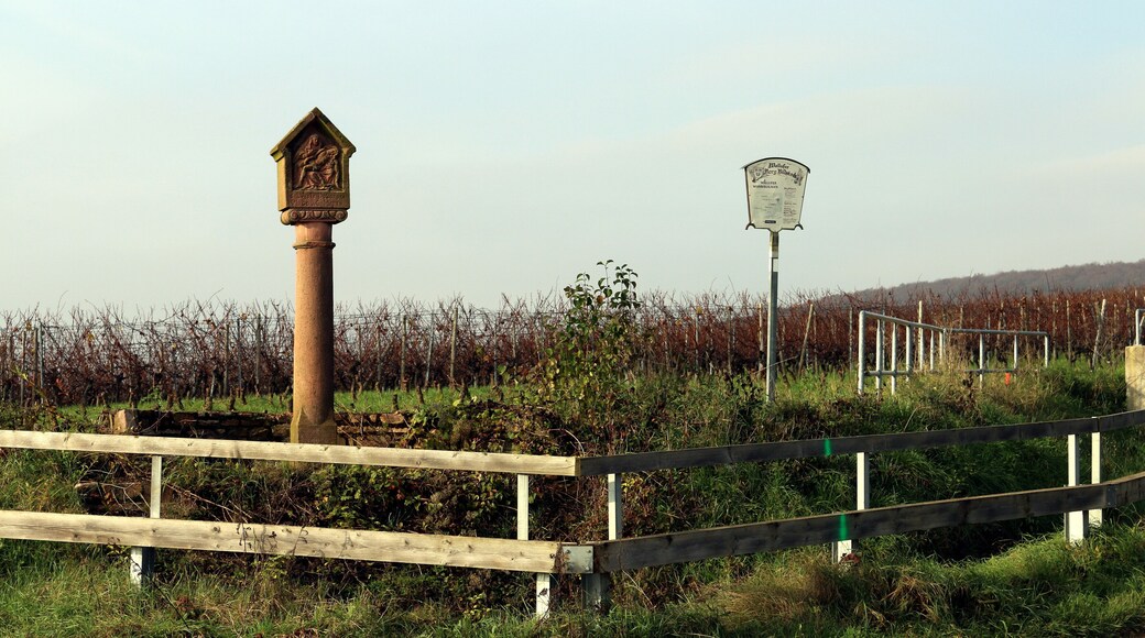 This is a picture of the hessian Kulturdenkmal (cultural monument) with the ID