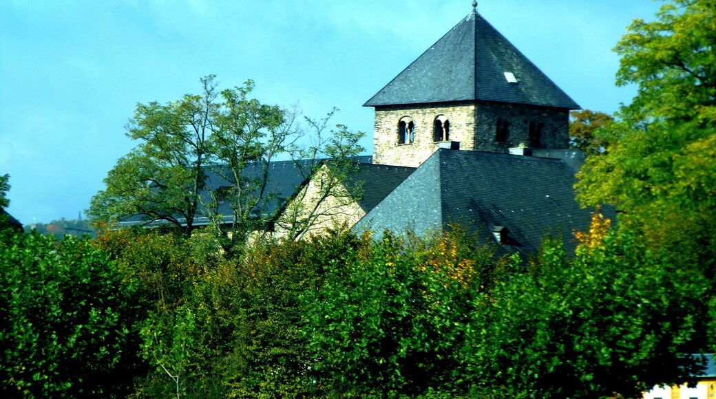 Oestrich-Mittelrhein - Basilika Sankt Ägidius von der Rheinfähre aus gesehen